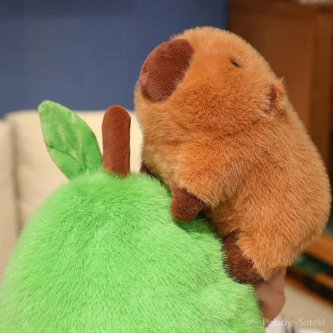 Peluche Capybara Avocat