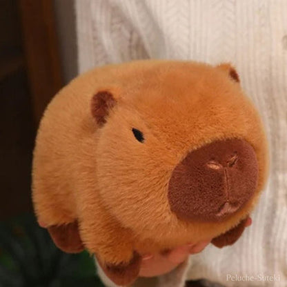 Peluche Capybara Avocat