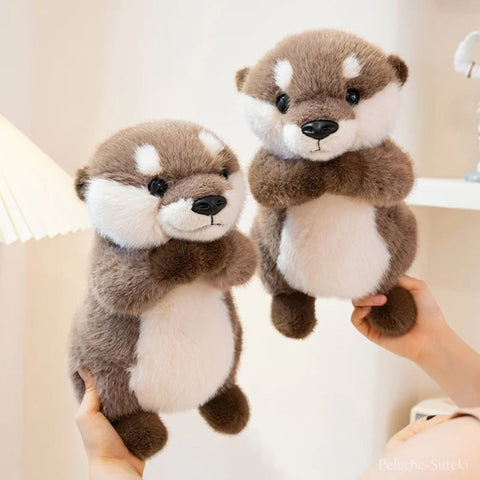 Peluche Loutre Adorable