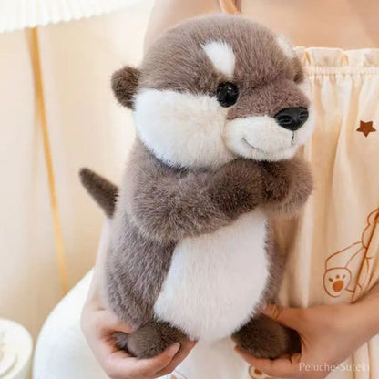 Peluche Loutre Adorable